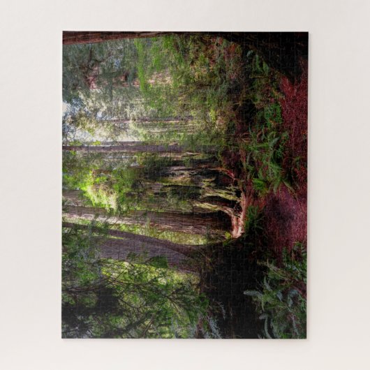 Wälder | Redwood Forest California Puzzle (Vertikal)
