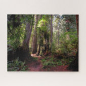 Wälder | Redwood Forest California Puzzle (Horizontal)