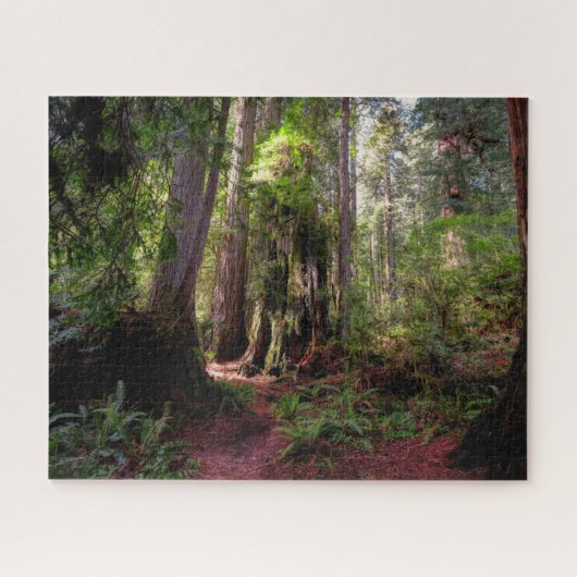 Wälder | Redwood Forest California Puzzle (Horizontal)