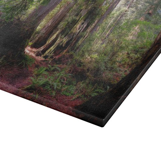 Wälder | Redwood Forest California Schneidebrett (Ecke)