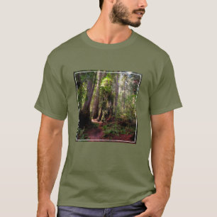 Wälder Redwood Forest California T-Shirt