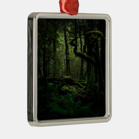 Wälder | Routeburn Track Fiordland Nationalpark Ornament Aus Metall (Rechts)