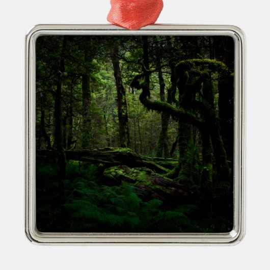 Wälder | Routeburn Track Fiordland Nationalpark Ornament Aus Metall (Vorne)