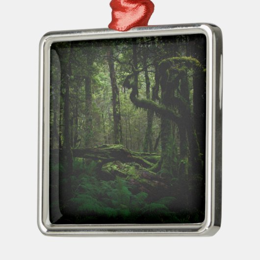 Wälder | Routeburn Track Fiordland Nationalpark Ornament Aus Metall (Links)