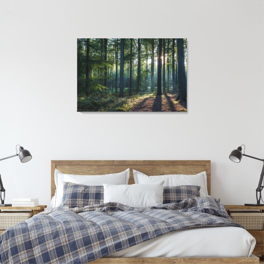 Wälder | Schwarzwald Deutschland Leinwanddruck (Insitu (Schlafzimmer))