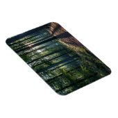 Wälder | Schwarzwald Deutschland Magnet (Rechte Seite)