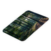 Wälder | Schwarzwald Deutschland Magnet (Linke Seite)