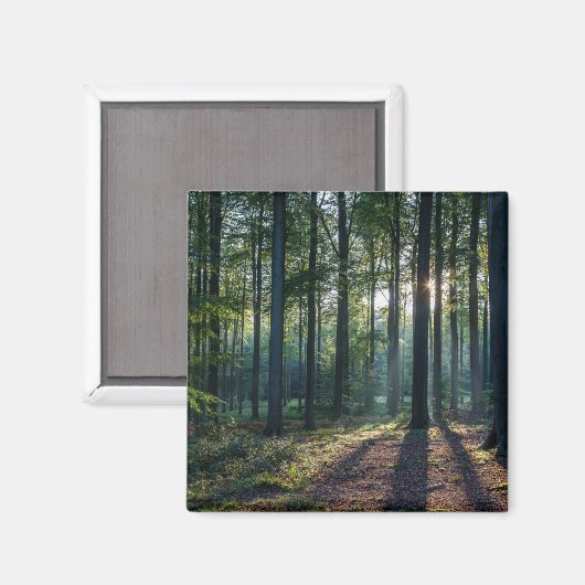 Wälder | Schwarzwald Deutschland Magnet (Vorderseite/Rückseite)