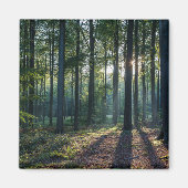 Wälder | Schwarzwald Deutschland Magnet (Vorne)