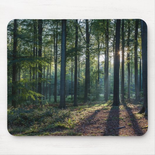 Wälder | Schwarzwald Deutschland Mousepad (Vorne)