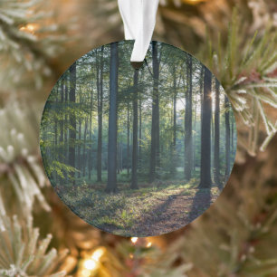 Wälder   Schwarzwald Deutschland Ornament