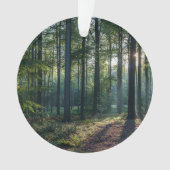 Wälder | Schwarzwald Deutschland Ornament (Vorderseite)