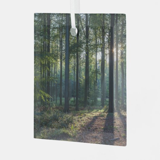 Wälder | Schwarzwald Deutschland Ornament Aus Glas (Vorderseite links)