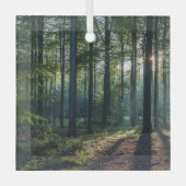 Wälder | Schwarzwald Deutschland Ornament Aus Glas (Vorderseite)