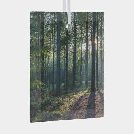 Wälder | Schwarzwald Deutschland Ornament Aus Glas (Vorderseite Rechts)