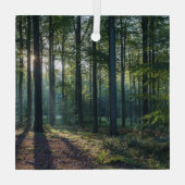 Wälder | Schwarzwald Deutschland Ornament Aus Glas (Rückseite)