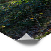 Wälder | Schwarzwald Deutschland Poster (Ecke)