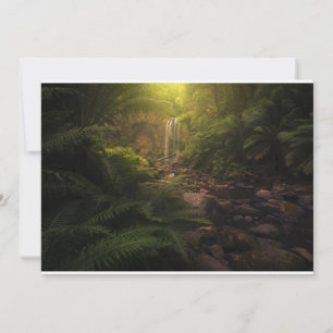 Wälder Sonnenlicht Highlights Wasserfall Dankeskarte