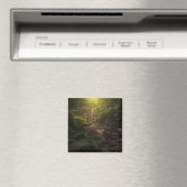 Wälder | Sonnenlicht Highlights Wasserfall Magnet (In Situ (Geschirrspüler))