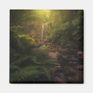 Wälder   Sonnenlicht Highlights Wasserfall Magnet