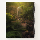 Wälder | Sonnenlicht Highlights Wasserfall Notizblock (Rückseite)