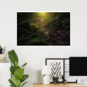 Wälder | Sonnenlicht Highlights Wasserfall Poster (Heimbüro)