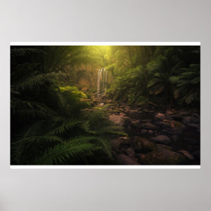 Wälder   Sonnenlicht Highlights Wasserfall Poster