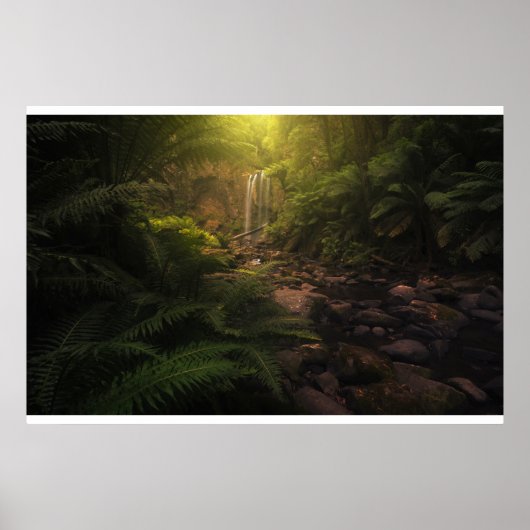 Wälder | Sonnenlicht Highlights Wasserfall Poster (Vorne)