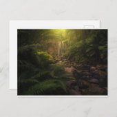 Wälder | Sonnenlicht Highlights Wasserfall Postkarte (Vorne/Hinten)