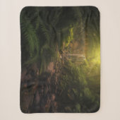 Wälder | Sonnenlicht Highlights Wasserfall Sherpadecke (Vorderseite)