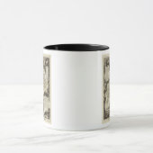 Wälder, Städte, Städte Tasse (Zentrum)