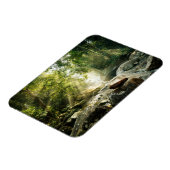 Wälder | Tropischer Dschungelwald Magnet (Linke Seite)