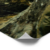 Wälder | Tropischer Dschungelwald Poster (Ecke)