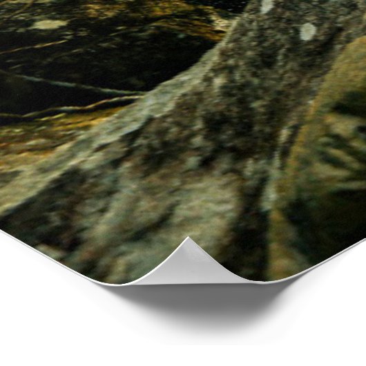 Wälder | Tropischer Dschungelwald Poster (Ecke)