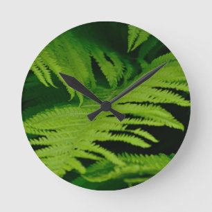 Wälder u. Dschungel Runde Wanduhr