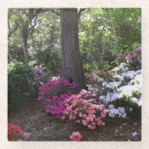 Wälder und Blume Untersetzer