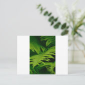 Wälder und Dschungeln Postkarte (Stehend Vorderseite)