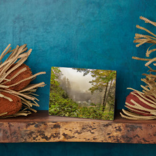 Wälder und Ozeanlandschaften Fotoplatte