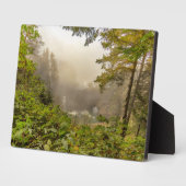 Wälder und Ozeanlandschaften Fotoplatte (Seite)