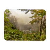 Wälder und Ozeanlandschaften Magnet (Horizontal)