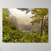 Wälder und Ozeanlandschaften Poster (Vorne)