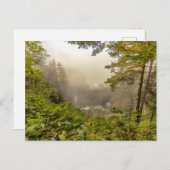 Wälder und Ozeanlandschaften Postkarte (Vorne/Hinten)