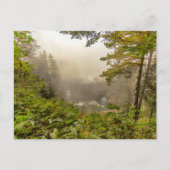 Wälder und Ozeanlandschaften Postkarte (Vorderseite)