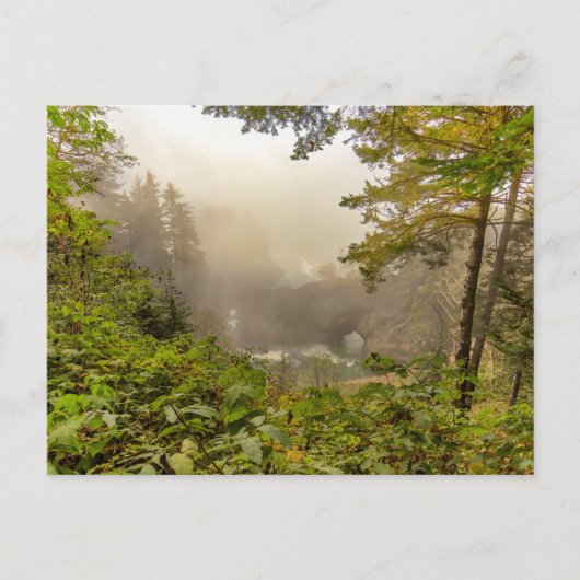 Wälder und Ozeanlandschaften Postkarte (Vorderseite)