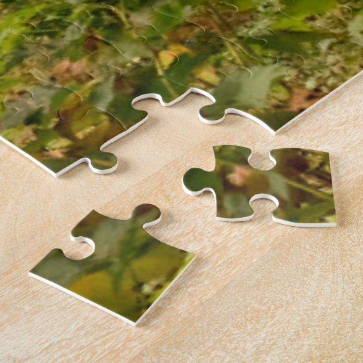 Wälder und Ozeanlandschaften Puzzle (Seite)