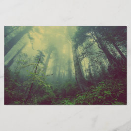 Wälder von unten briefpapier