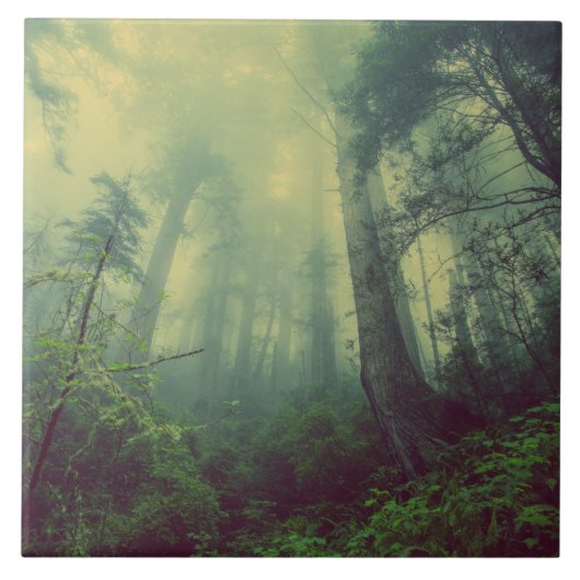 Wälder von unten fliese (Vorderseite)