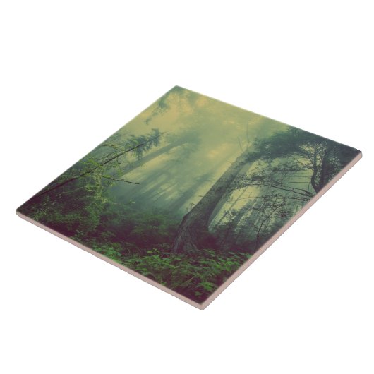 Wälder von unten fliese (Seite)