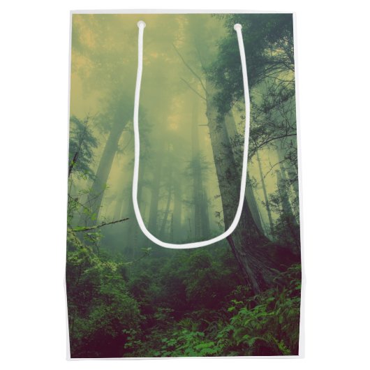 Wälder von unten mittlere geschenktüte (Rückseite)