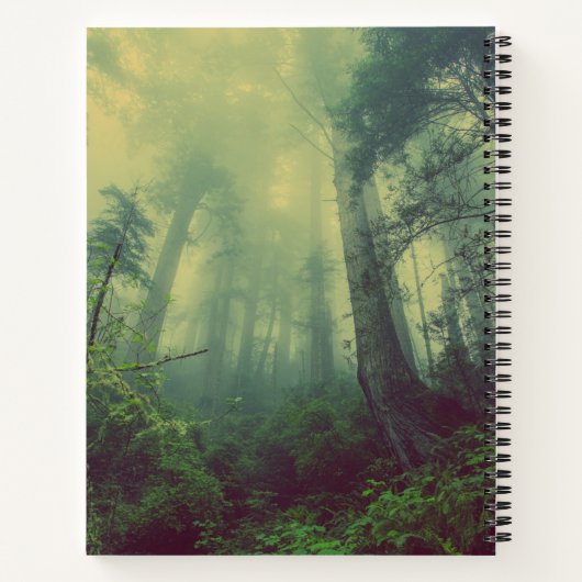 Wälder von unten notizblock (Rückseite)